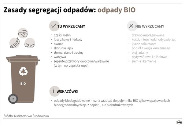 zasady segregacji odpadów