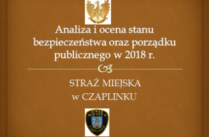 Analiza i ocena stanu bezpieczeństwa oraz porządku publicznego w 2018 r.