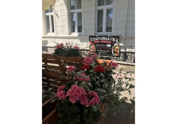 Czaplinianka