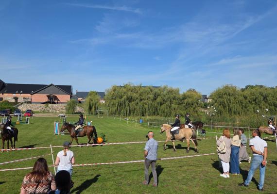 Equi Show