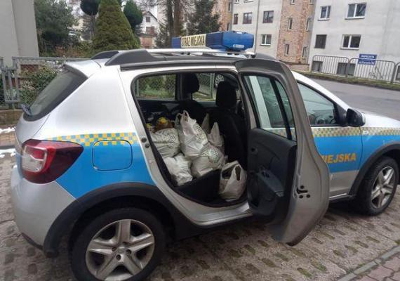 Pomagamy w Czaplinku.