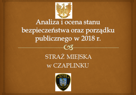 Analiza i ocena stanu bezpieczeństwa oraz porządku publicznego w 2018 r.