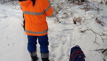 Dzialamy razem!!! Wspólny patrol Straży Miejskiej, Straży Leśnej i Straży Rybackiej po Gminie Czaplinek.