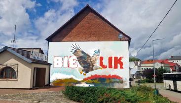 Orzeł bielik - wizualizacja budynek