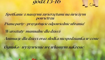 Dzień bez rezerwacji - Ranczo Alpaki Sikory