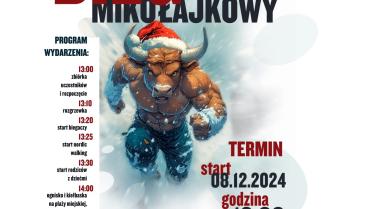 IV Czaplinecki Bieg Mikołajkowy