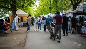 Czaplinek na „Pikniku nad Odrą” 2026