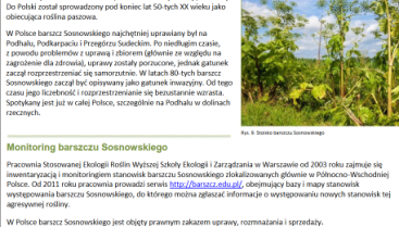 Poparzenia Barszczem Sosnowskiego