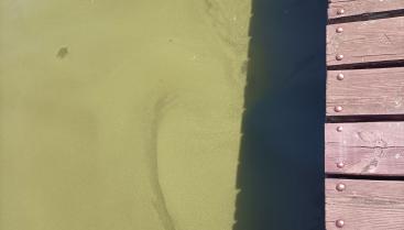 Tymczasowe zamknięcie kąpieliska nad jeziorem Drawsko przy ul. Drahimskiej (plaża miejska)