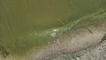 Tymczasowe zamknięcie kąpieliska nad jeziorem Drawsko przy ul. Drahimskiej (plaża miejska)