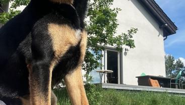 Agroturystyka "Dębowa Ostoja"