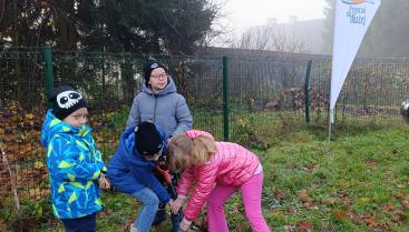 FruitPrint – Zostawiamy dobry ślad