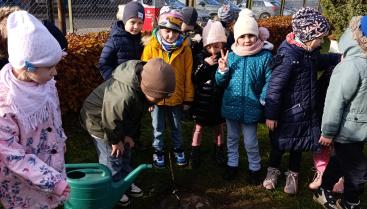 FruitPrint – Zostawiamy dobry ślad