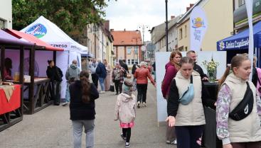 Już za nami 4. Festyn Zdrowia na Czaplineckim Deptaku! 