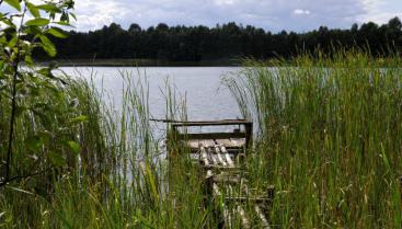 Gospodarstwo agroturystyczne "Maja"