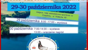 plakat gołebie