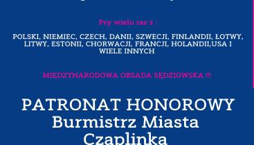 6. i 7. Międzynarodowa Wystawa Psów Rasowych w Czaplinku-Broczynie!