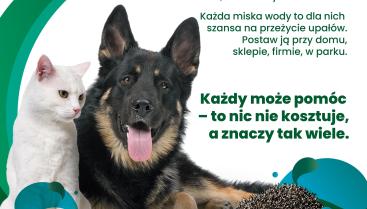 Mały gest, wielka moc – wystaw miskę! 