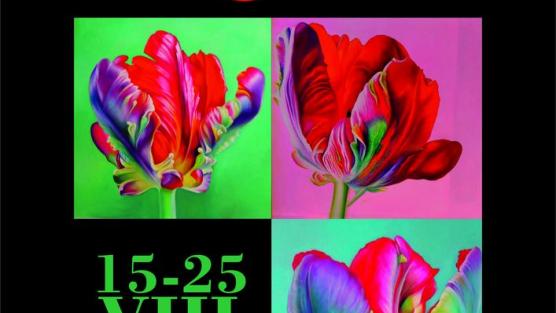 Plakat Plener