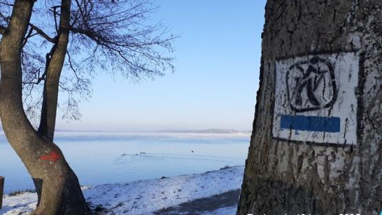 Zdrowiej z kijkami, zdrowiej biegiem 2025