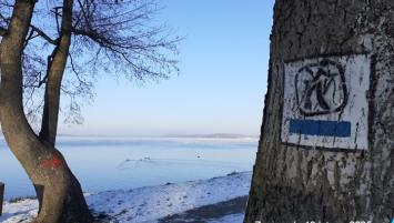 Zdrowiej z kijkami, zdrowiej biegiem 2025