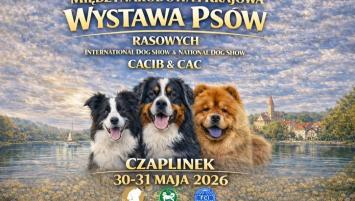 Miedzynarodowa i Krajowa Wystawa Psów Rasowych