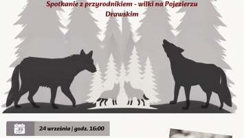 „NIE TAKIE STRASZNE. O WILKACH BEZ SENSACJI”