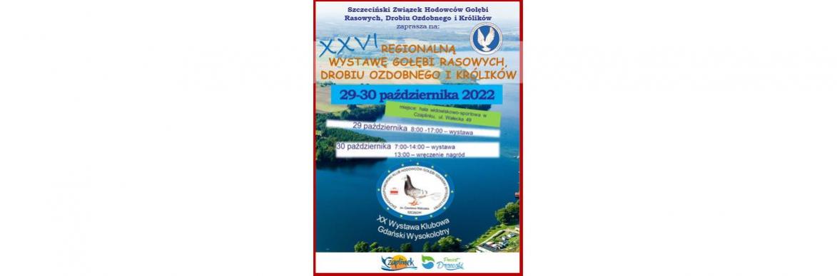 plakat gołebie