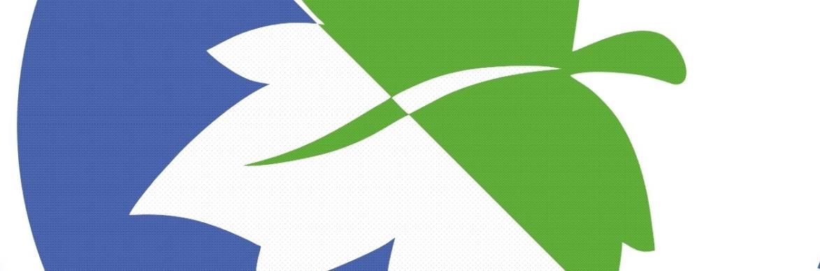 Logo ZZSC