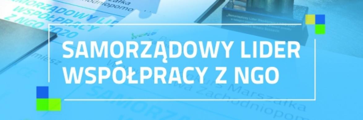 samorządwoy lider ngo