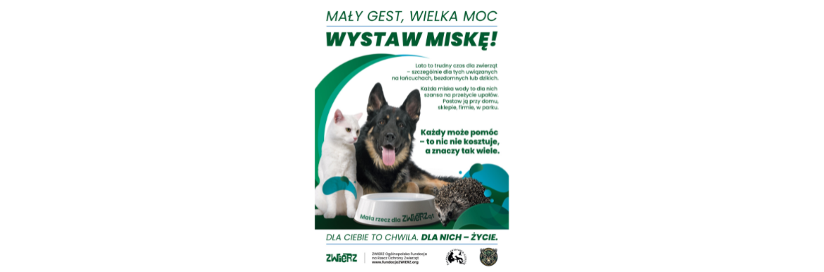 Mały gest, wielka moc – wystaw miskę! 