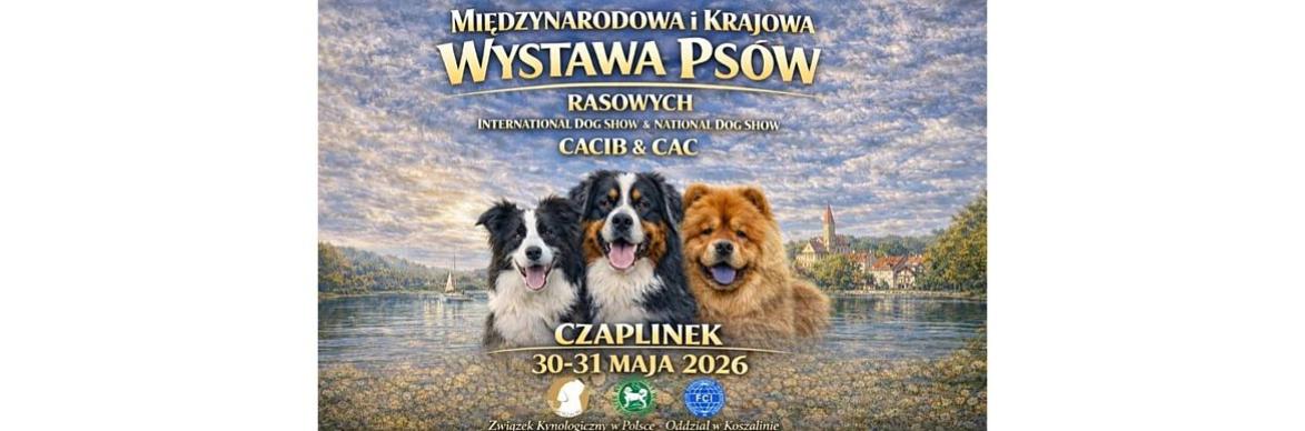 Międzynarodowa i Krajowa Wystawa Psów Rasowych