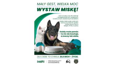 Mały gest, wielka moc – wystaw miskę! 